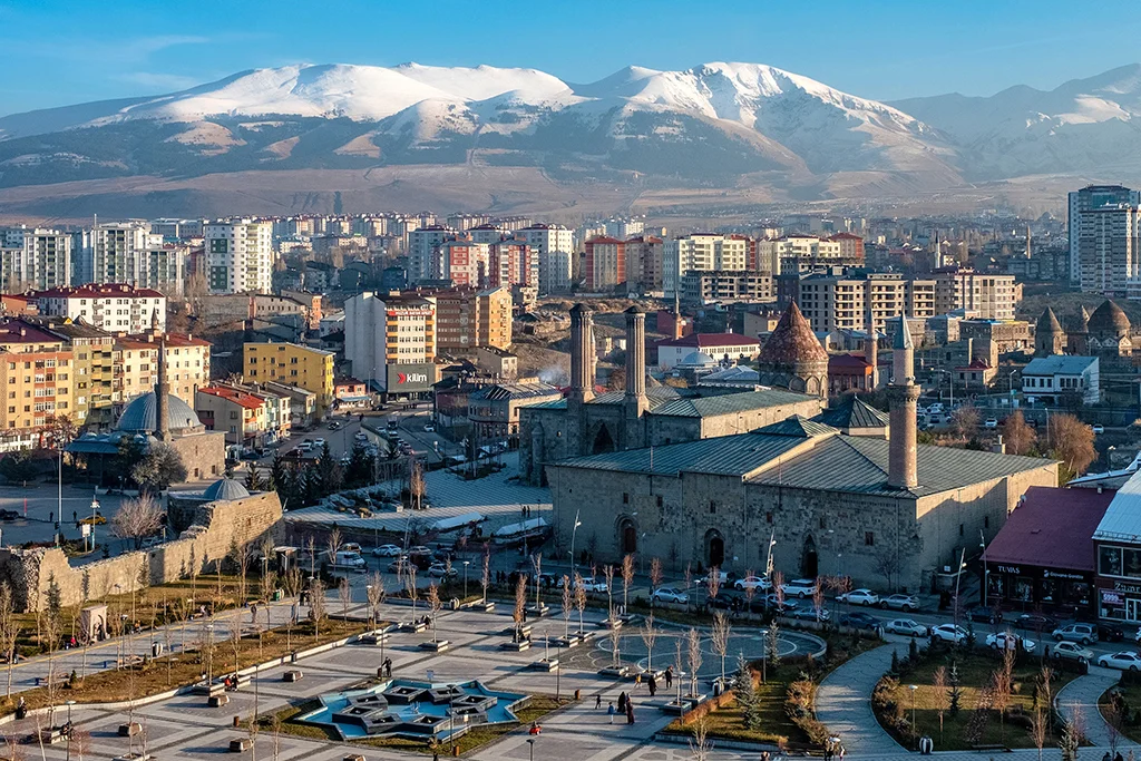 Erzurum lazer epilasyon servisi